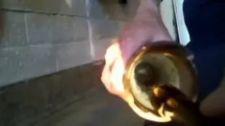 Cute kitten gets stuck in tiny pipe YouTube   YouTube