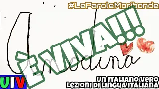 #LeParoleMoribonde - ANODINO: i vostri commenti!