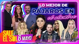 Victoria Ruffo, Wendy Guevara, Madonna, Patricio N | Lo Mejor de Pájaros en el Alambre 06/05/24