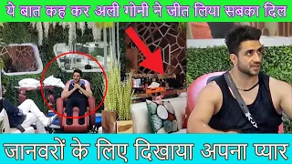 Bigg Boss 14 | ये बात कह कर Aly Goni ने जीत लिया सबका दिल, जानवरों के लिए दिखाया अपना प्यार