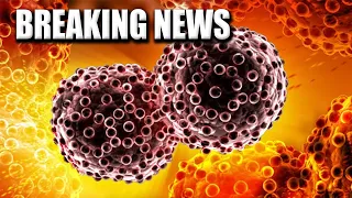 Cancer Cure Breakthrough Revealed By Scientists