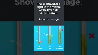 How to check your oil level using the dipstick - Car Life