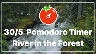 30/5 Pomodoro Timer | River in the Forest🌳 | Ambience Nature Sounds