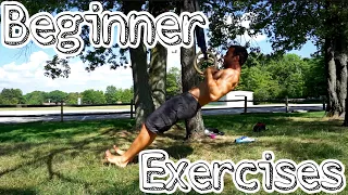 The BEST exercises for BEGINNERS on the GYMNASTIC RINGS