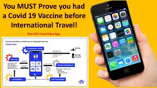 Covid 19 Vaccine Passport is a MUST for travel and this is how it works! What you need to know.