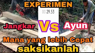 EXPERIMEN CHAINSAW TEKHNIK JANGKAR VS AYUN ][ Mana yang lebih cepat❗❗