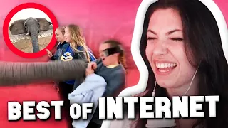 Reved REAGIERT auf Best Of The Internet 2020! 😮