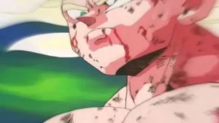 Dragon Ball Z - Our solemn hours [FULL AMV]