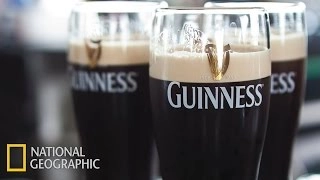 Мегазаводы: Guinness (Гиннесс)