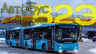 Автобус в аэропорт «Пулково» — обзор!