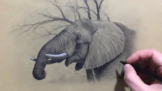 Elephant Drawing in Black and White Charcoal