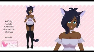 ExillianArts model showcase [Vtuber showcase]