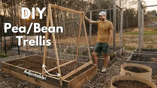 How to Build the Ultimate Pea/Bean Trellis