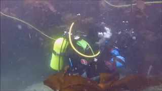 Commercial Diver Training on the Faroe Islands