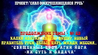 83.СВЯЩЕННЫЕ БОЛИ АГНИ ЙОГА-их суть и задача.Калки Аватар, Аватар Вишну, Новый Правитель Руси, Махди