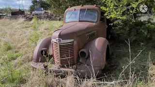 Oklahoma Auction Picks: We find old International Harvester trucks, Dodge Polara, & Chevy Caprice!