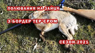 Відкриття полювання на зайця.