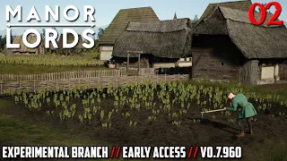 Large Vegetable Gardens // MANOR LORDS  // Experimental Branch // Early Access // - 02