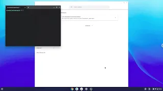 How to turn on Linux Apps on Chrome OS 89 and newer on a Chromebook