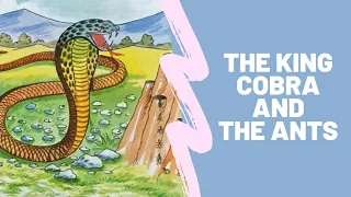 ENGLISH BEDTIME STORIES (AUDIO) | THE KING COBRA AND THE ANTS