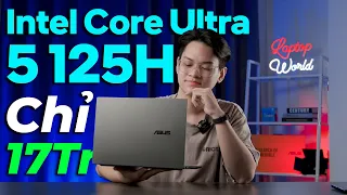 Laptop INTEL CORE ULTRA, màn OLED Cảm Ứng, MỎNG NHẸ mà có 17TR? 😲 ASUS ZenBook 14 Q415 | LaptopWorld