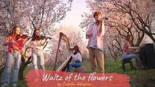 Tchaikovsky - Waltz of the flowers (by Catalin Advahov)