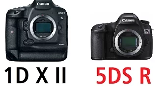 Canon EOS-1D X Mark II vs Canon EOS 5DS R