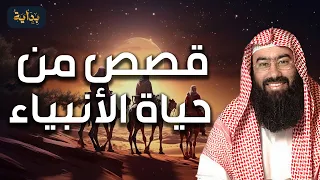 نبيل العوضي | قصص من حياة الأنبياء، قصص رووعة ستعيد سماعها أكثر من مرة