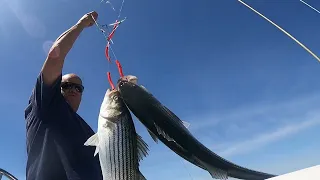 Striper Fishing in Block Island at the Rip...
