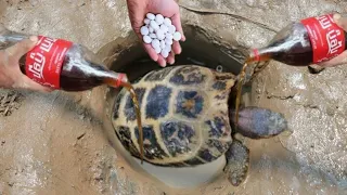experiment:coca cola,fanta vs mentos catch turtles in underground hole!