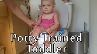 Potty Trained Toddler (3 Years Old) - Babys World