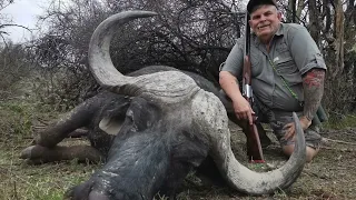 Hunting 3 Cape Buffalo