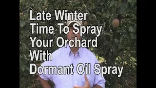 How To: Spray Your Apple Trees In Late Winter