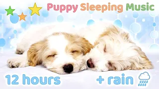 ☆ 12 HOURS ☆ Puppy Sleeping Music + RAIN SOUNDS 🐶🌧️ NO ADS ♫ DOG SLEEP MUSIC ☆ Relaxing dog music ♫