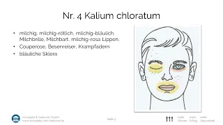 Schüßler Salz NR04 Kalium chloratum D6