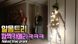 SUB) 절대 따라하지마세요😱!! 도라이 남친의 크리스마스 기념 알몸트리 이벤트!!🎄 (세.젤.섹시한👄트리ㅋㅋ) NAKED CHRISTMAS TREE PRANK!!