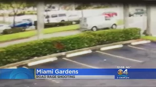 Video Shows Miami Gardens Van In Road Rage Incident