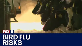 Bird flu risk remains low, FDA says | FOX 5 News