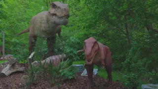 New dinosaur experience coming to Cleveland Metroparks Zoo