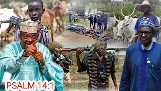 Another 20 hundred down and scores missing as bandits invade Zamfara again