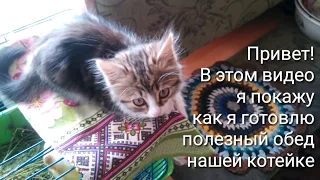 НАТУРАЛЬНАЯ еда для котёнка