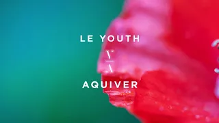 Le Youth - Aquiver