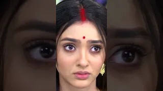 গীতা আদালতে কৃপাণের ব্যাপারে কী তথ্য পেশ করলো ?