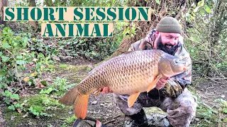 ***Back On The Park Lake***  RED LETTER SESSION...