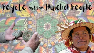 Peyote and the Huichol People