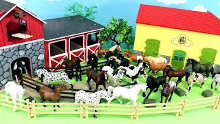 Farm Country Diorama and Horse Animal Figurines Collection