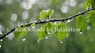 Ambient Sounds for Relaxation | Calming Music and Rain Sounds for Mindfulness and Serenity 🌧️🌊