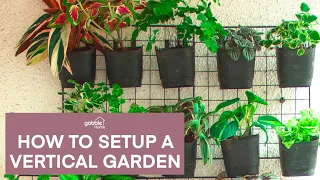 Gobble | How To Make A Vertical Garden At Home | Low Cost Garden | Vertical Gardening