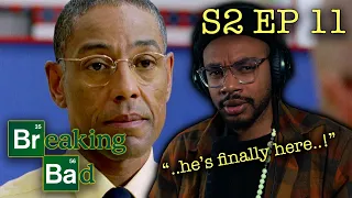 FILMMAKER REACTS to BREAKING BAD Season 2 Episode 11: Mandala