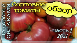 Обзор сортовых томатов. Отзыв о сортах томатов. Помидоры.